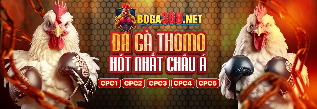 Đá Gà Trực Tuyến PK345 - Trải Nghiệm Đỉnh Cao
